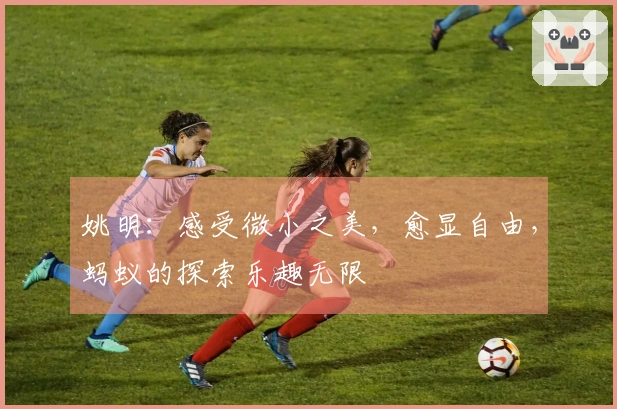 姚明：感受微小之美，愈显自由，蚂蚁的探索乐趣无限