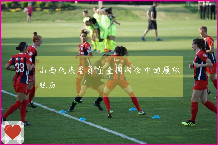山西代表委员在全国两会中的履职经历