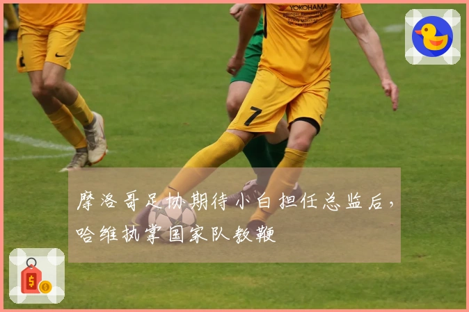 摩洛哥足协期待小白担任总监后，哈维执掌国家队教鞭