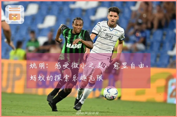 姚明：感受微小之美，愈显自由，蚂蚁的探索乐趣无限